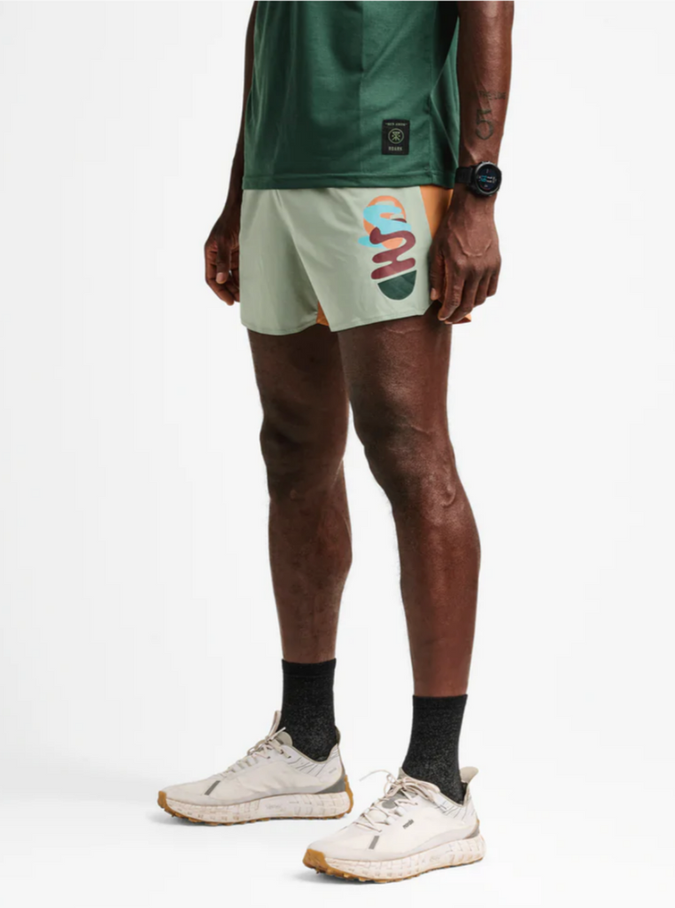Roark Run Amok Alta Shorts 5" Weller Multi Color