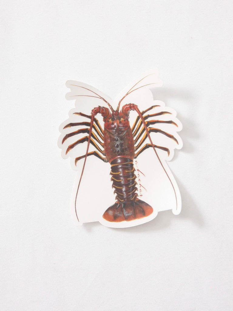 Abachar Cali Lobster Sticker