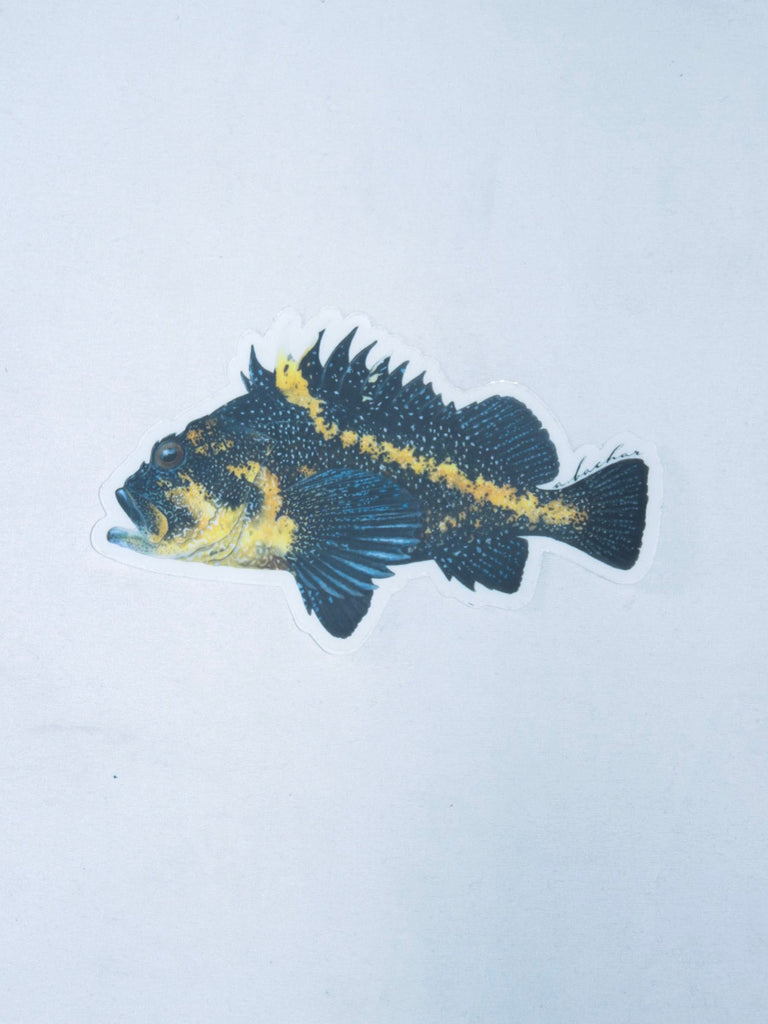 Abachar China Rockfish Sticker